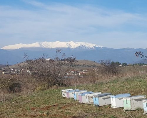 Διαχείμαση – Ξεχειμώνιασμα δημιουργώντας καλύτερες συνθήκες