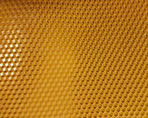 Κηρήθρα το θεμέλιο του μελισσιού και της μελισσοκομίας μας