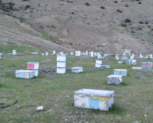 Τριποκυψελίδιο ένα βοηθητικό εργαλείο για των μελισσοκόμο