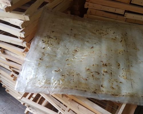 Θερμομόνωση ( φοαμ – σάντουιτς ) γόνοι ή μέλια ???